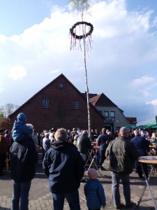 maibaum